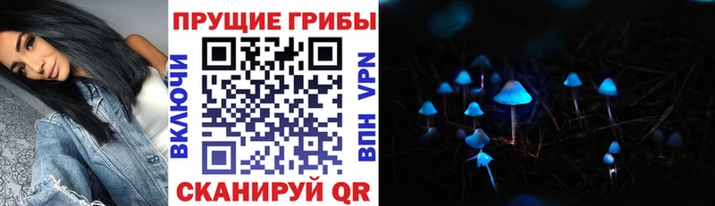 Псилоцибиновые грибы Psilocybine cubensis  Купить где  Медынь 